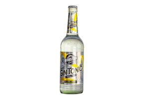 BOOSTER GIN TONIC  LOT DE 12 BOUTEILLES VERRE 50 CL